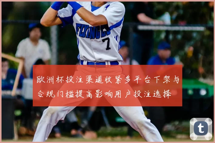 欧洲杯投注渠道收紧多平台下架与合规门槛提高影响用户投注选择