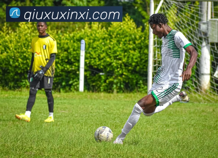 三亿体育真正官网 - 三亿体育(中国)官方网站服务体系